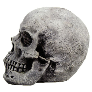 Skull Halloween decor, Statues, statuary, garden statues, garden statue, statues for sale, garden statues for sale, garden statuary for sale, yard statues for sale, buy statues, statuary for sale, cement statues, concrete statues