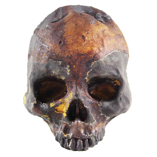 Skull Halloween, Statues, statuary, garden statues, garden statue, statues for sale, garden statues for sale, garden statuary for sale, yard statues for sale, buy statues, statuary for sale, cement statues, concrete statues