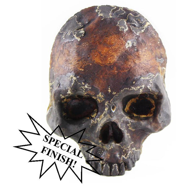 Skull Head statue, Statues, statuary, garden statues, garden statue, statues for sale, garden statues for sale, garden statuary for sale, yard statues for sale, buy statues, statuary for sale, cement statues, concrete statues